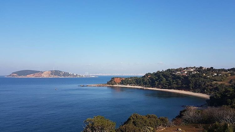 Marta Koyu Dayanışması'ndan panel